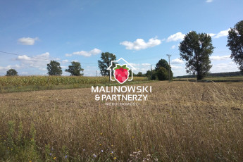 Działka Sprzedaż Mirakowo